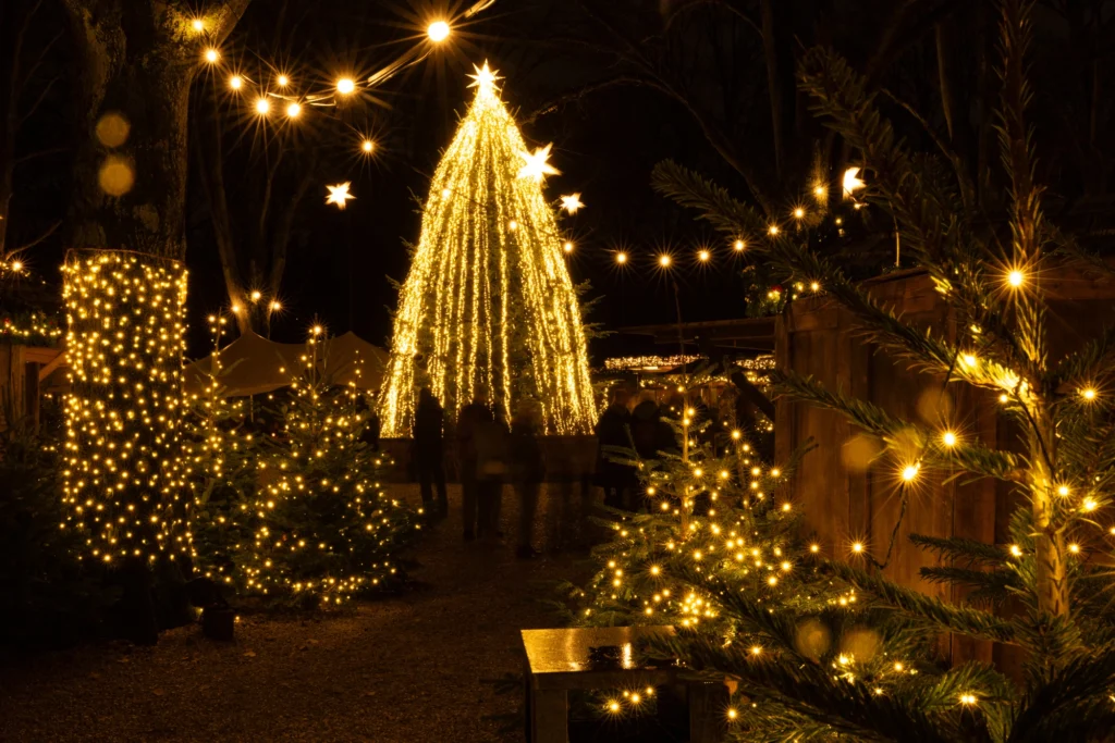 Beleuchteter Weihnachtsbaum umgeben von festlichen Lichtern und Tannen, in einer stimmungsvollen, dunklen Umgebung.