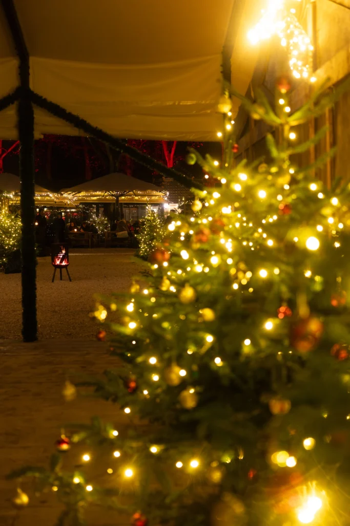 Weihnachtlich dekorierte Bäume mit Lichtern in einem festlichen Außenbereich, mit Tischen im Hintergrund.